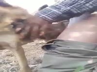 Fucking my dog in forest